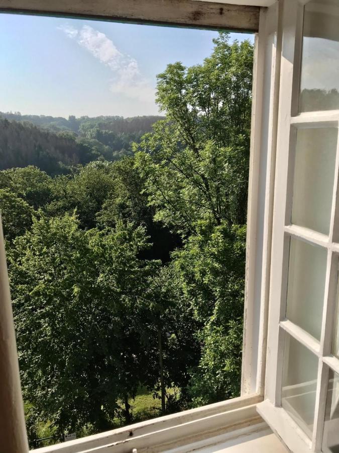 Villa Erbschloe Ремшейд Экстерьер фото
